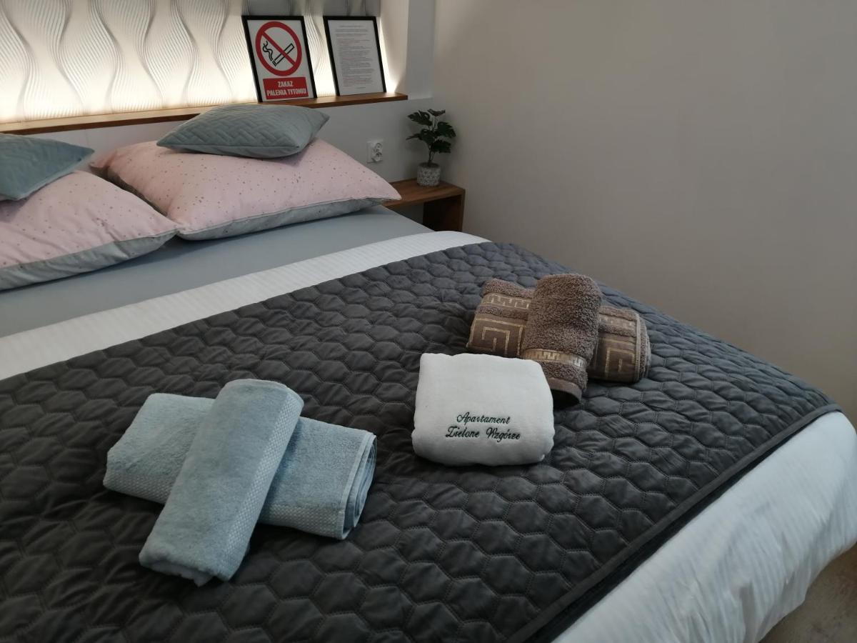 Apartament Zielone Wzgorze 2 يلينيا غورا المظهر الخارجي الصورة